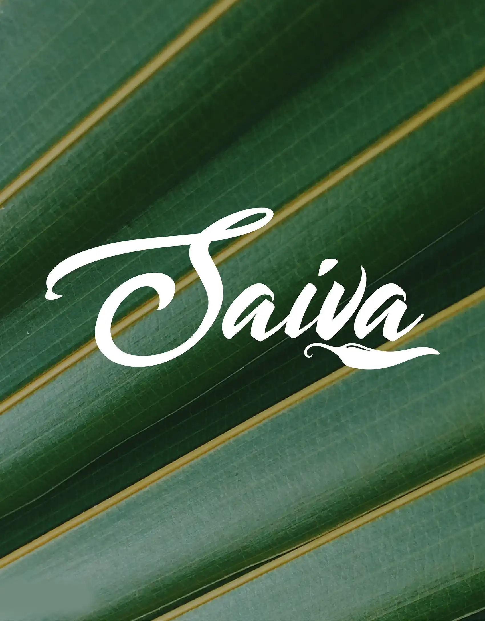 Brand identity visual
